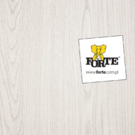 Forte: more effective marketing with eLeader Mobile Visit