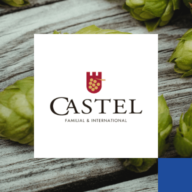 Castel Logo eleader news